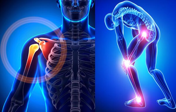 Orthopaedic & Joint Replacement