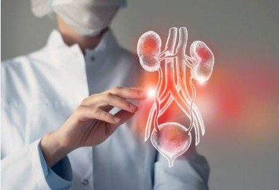 Urology & Dialysis
